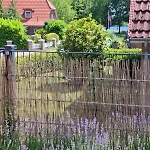 Feiene Duene Am Badesee Tannenhausen, Aurich * Tannenhausen